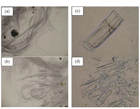 asbestos gravimetric method|polarized light microscope asbestos.